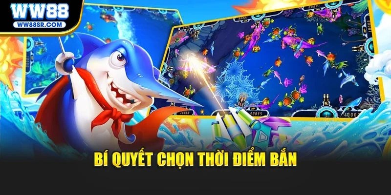 Bí quyết chọn thời điểm bắn