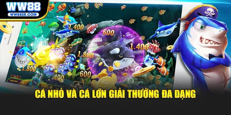 Cá nhỏ và cá lớn giải thưởng đa dạng