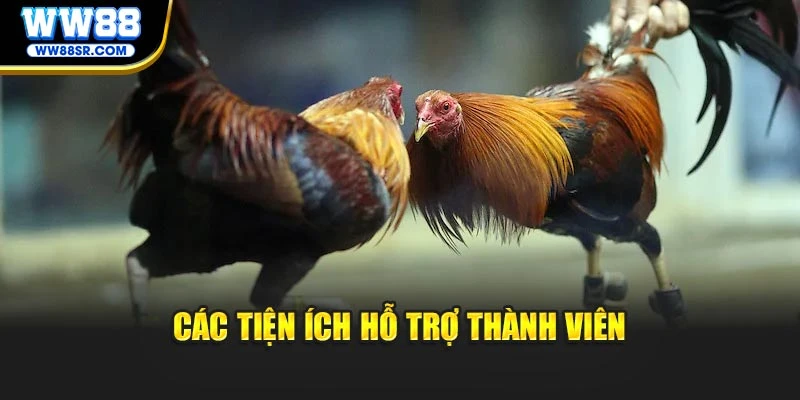 Các tiện ích hỗ trợ thành viên