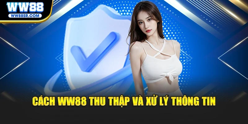 Cách WW88 thu thập và xử lý thông tin