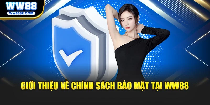 Giới thiệu về chính sách bảo mật tại WW88