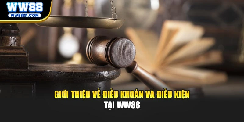 Giới thiệu về điều khoản và điều kiện tại WW88