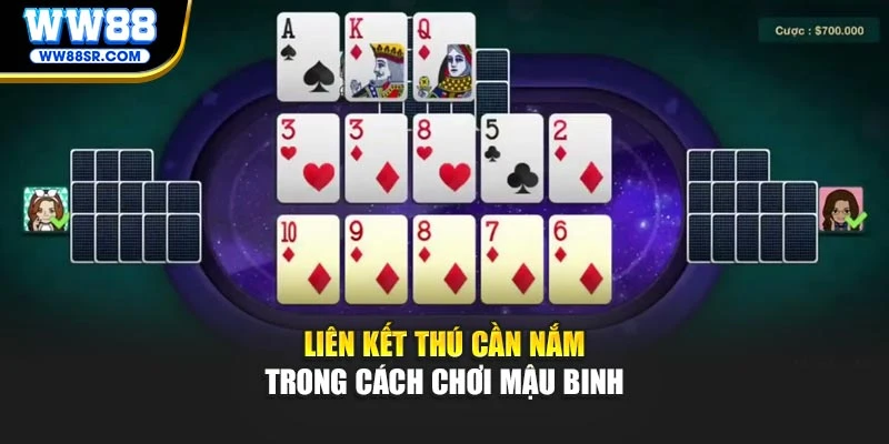 Liên kết thú cần nắm trong cách chơi Mậu Binh