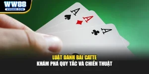 Luật Đánh Bài Catte – Khám Phá Quy Tắc Và Chiến Thuật