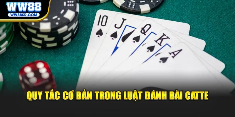 Quy tắc cơ bản trong luật đánh bài Catte