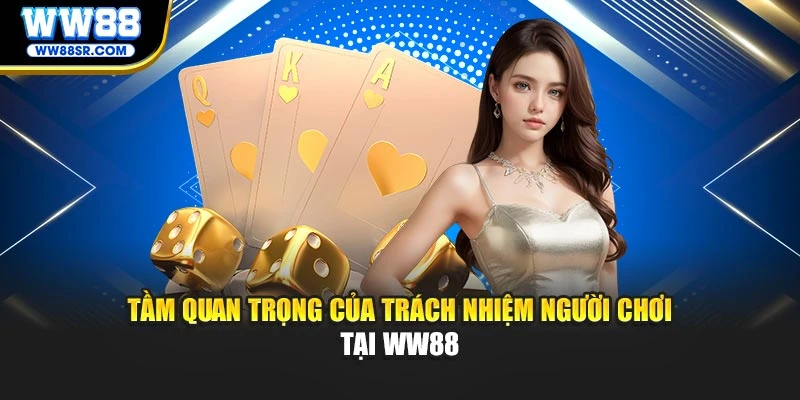 Tầm quan trọng của trách nhiệm người chơi tại WW88